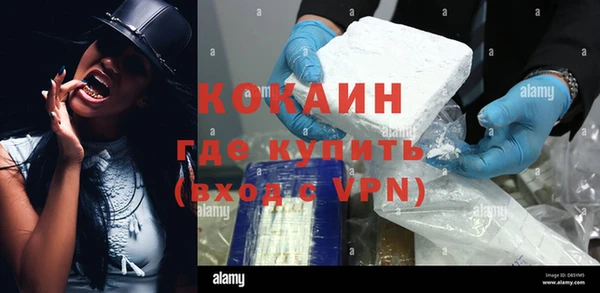 соль ск Алзамай