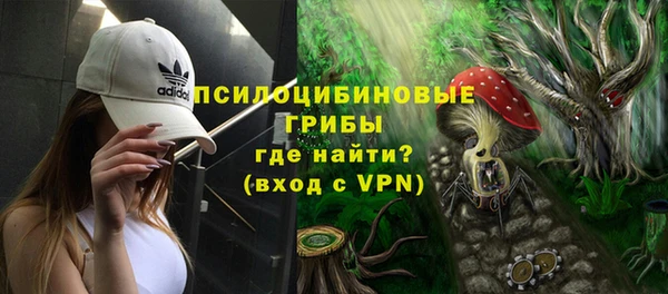 соль ск Алзамай